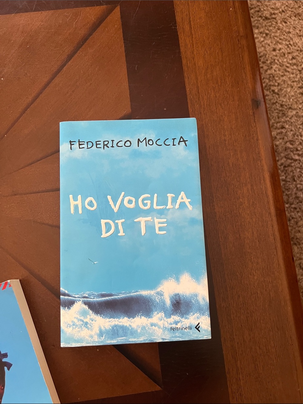 Hi voglia di te - book Italian fiction
